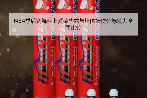NBA季后赛舞台上爱德华兹与塔图姆得分爆发力全面比较